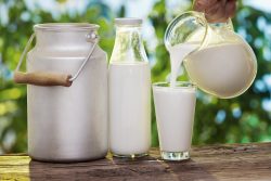 raw dairy food safety