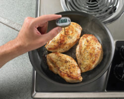 Food Safety Training - Thermometer