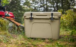 cooler-camping-food-safety