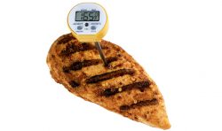 thermometer_in_chicken_breast_cutout