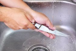 washknife-food-safety