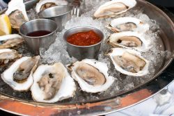 raw oysters2