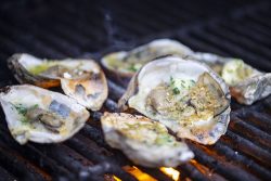 grilled-oysters-food-safety