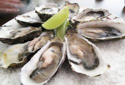 raw-oysters-food-safety-shellfish