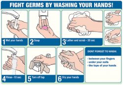 handwashing-steps-food-safety