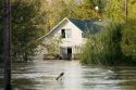 food-safety-floods