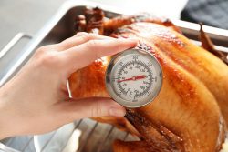 turkey_food_safety_food_illness_001_shutterstock_1421484119