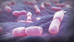 listeria-food-safety