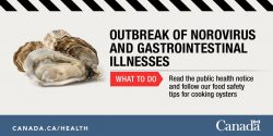 canada-norovirus-outbreak