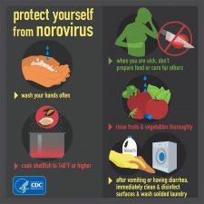 cdc-norovirus-info