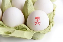 eggs_salmonella_food_illness_food_safety_001_shutterstock_690438202