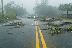 food_safety_tropical_storm_hurricane_flooding_001_shutterstock_308741828